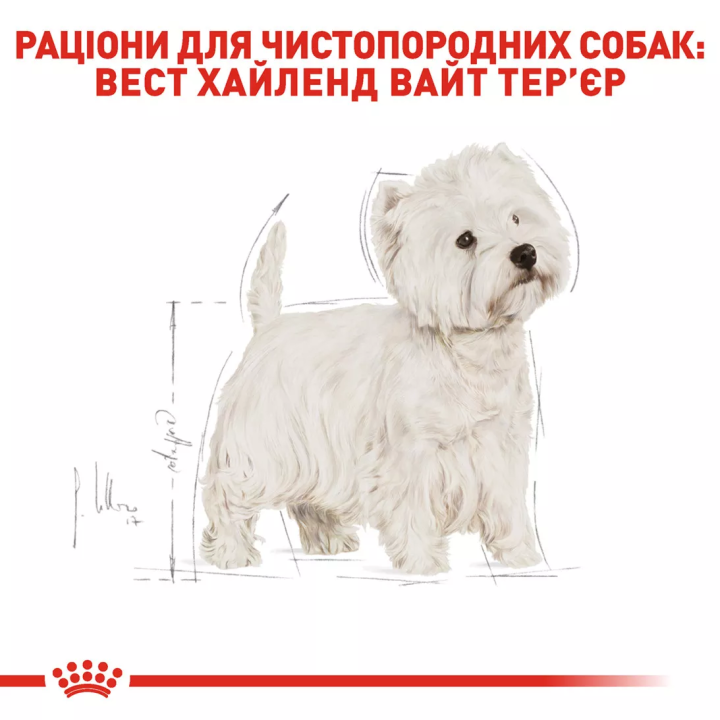 Замовити West Highland White Terrier Adult 3 кг Royal Canin | Знижка до 23% | Відправка з Києва по Україні