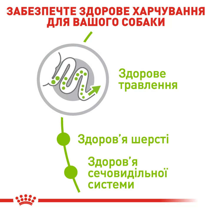 Замовити Xsmall Adult 3 кг Royal Canin | Знижка до 23% | Відправка з Києва по Україні