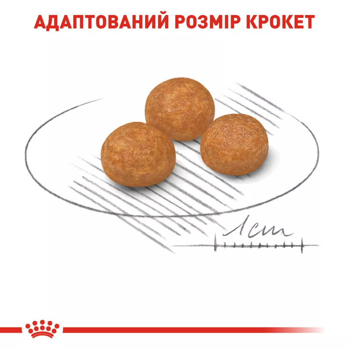 Замовити Xsmall Adult 3 кг Royal Canin | Знижка до 23% | Відправка з Києва по Україні