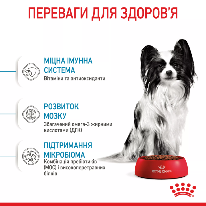 Замовити Xsmall Puppy 1.5 кг Royal Canin | Знижка до 23% | Відправка з Києва по Україні