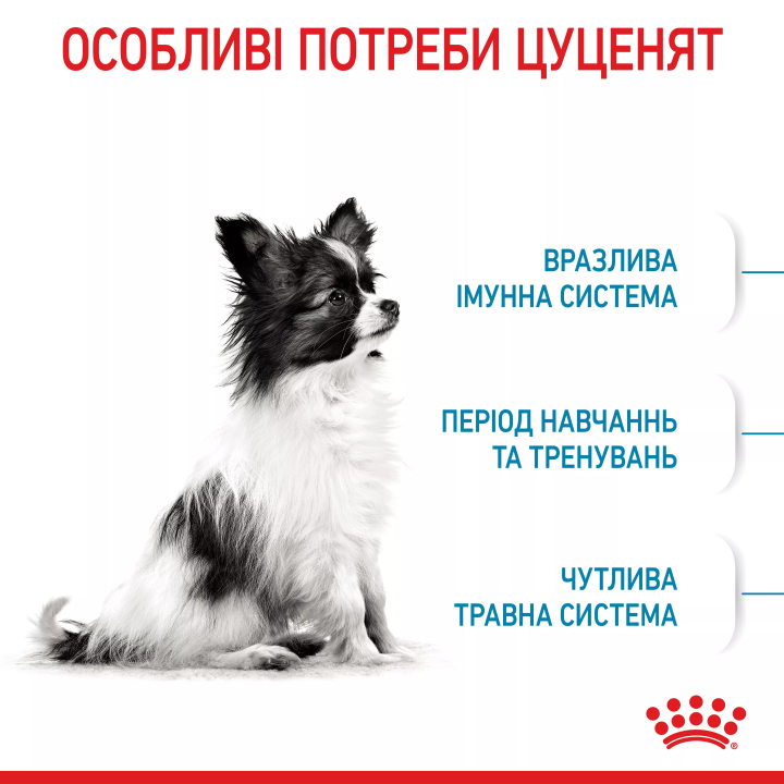 Замовити Xsmall Puppy 3 кг Royal Canin | Знижка до 23% | Відправка з Києва по Україні
