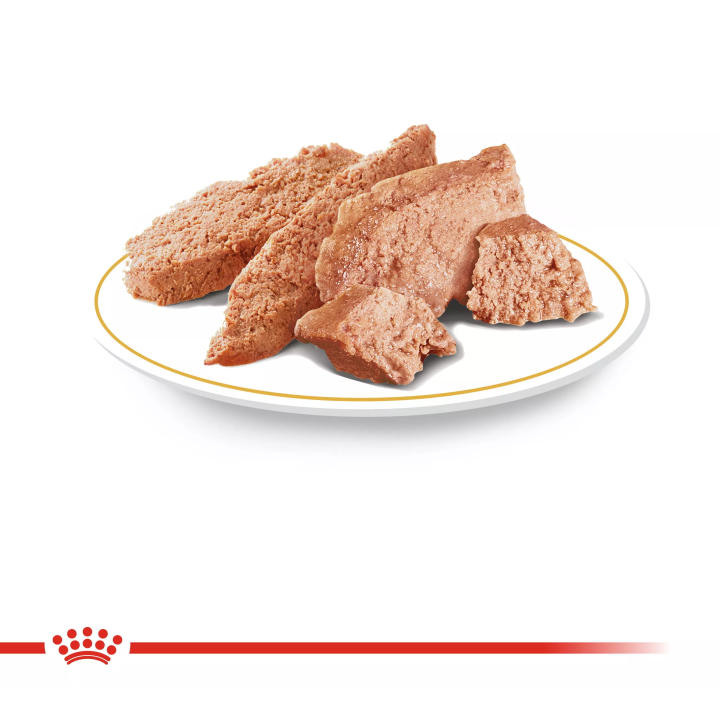 Замовити Yorkshire Adult 0.085 кг Royal Canin | Знижка до 23% | Відправка з Києва по Україні