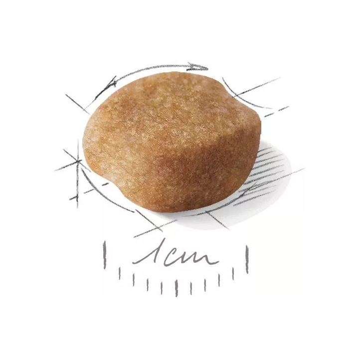 Замовити Yorkshire Terrier Adult 0.5 кг Royal Canin | Знижка до 23% | Відправка з Києва по Україні