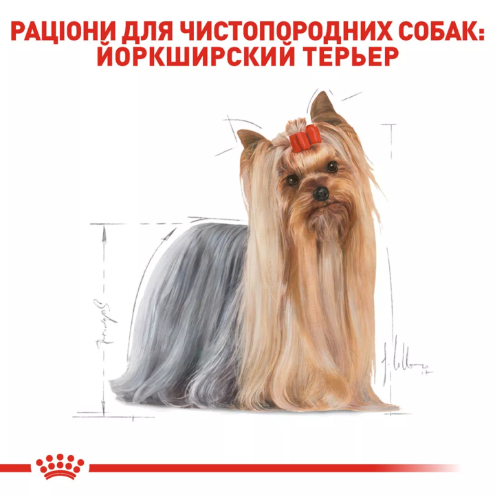 Замовити Yorkshire Terrier Adult 7.5 кг Royal Canin | Знижка до 23% | Відправка з Києва по Україні