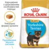 Замовити Yorkshire Puppy 1.5 кг Royal Canin | Знижка до 23% | Відправка з Києва по Україні