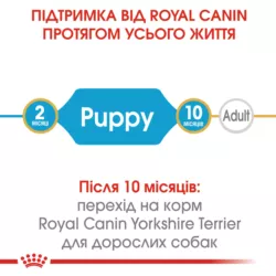 Замовити Yorkshire Puppy 7.5 кг Royal Canin | Знижка до 23% | Відправка з Києва по Україні