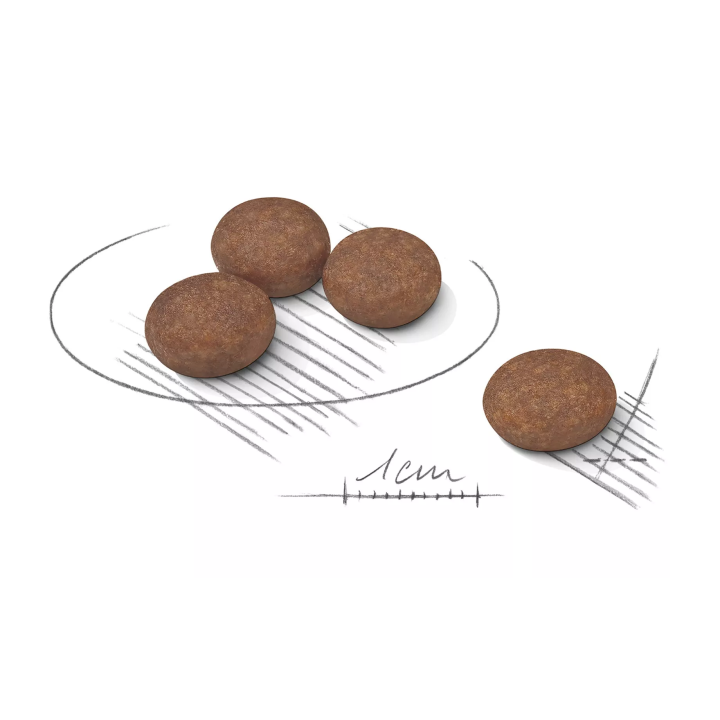 Замовити Mini Digestive Care 3 кг Royal Canin | Знижка до 23% | Відправка з Києва по Україні