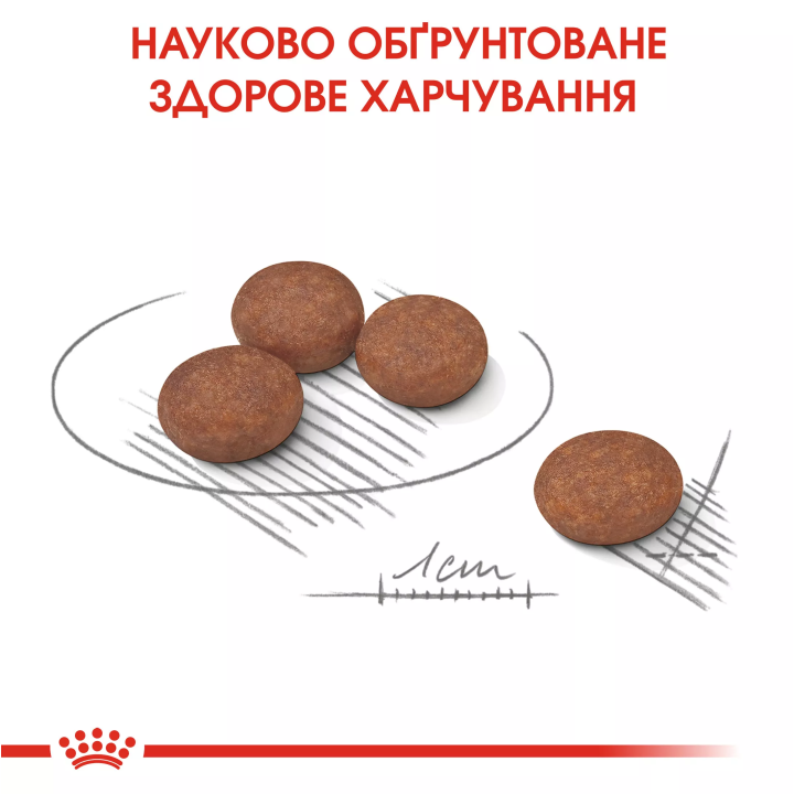 Замовити Mini Digestive Care 3 кг Royal Canin | Знижка до 23% | Відправка з Києва по Україні