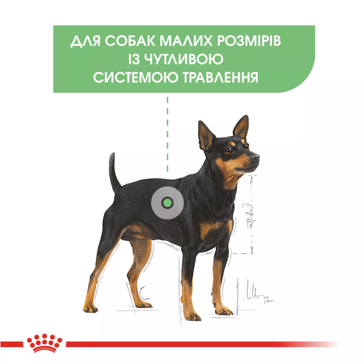 Замовити Mini Digestive Care 3 кг Royal Canin | Знижка до 23% | Відправка з Києва по Україні