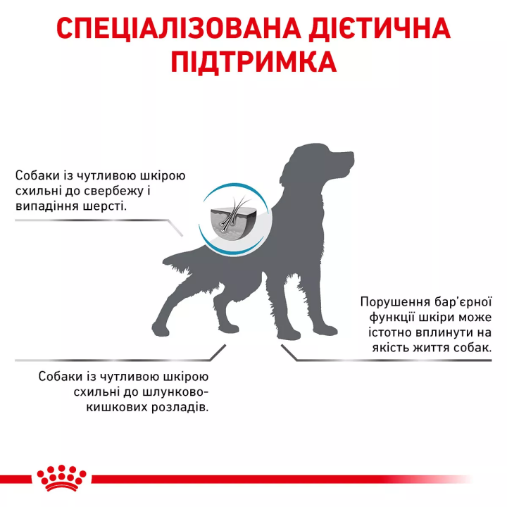Замовити Skin Care Adult Dog 11 кг Royal Canin | Знижка до 23% | Відправка з Києва по Україні