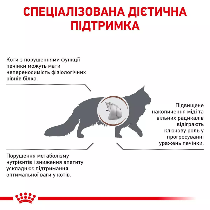 Замовити Hepatic Cat 4 кг Royal Canin | Знижка до 23% | Відправка з Києва по Україні