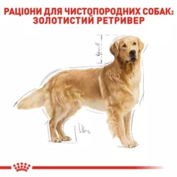 Golden Retriever Adult 12 кг | Royal Canin | Сухий Корм Для Дорослих Собак