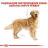 Golden Retriever Adult 12 кг | Royal Canin | Сухий Корм Для Дорослих Собак