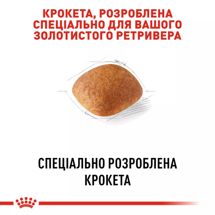 Замовити Golden Retriever Adult 12 кг Royal Canin | Знижка до 23% | Відправка з Києва по Україні