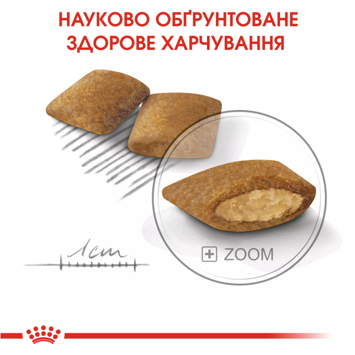 Замовити Mini Exigent 3 кг Royal Canin | Знижка до 23% | Відправка з Києва по Україні