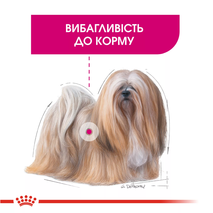 Замовити Mini Exigent 3 кг Royal Canin | Знижка до 23% | Відправка з Києва по Україні