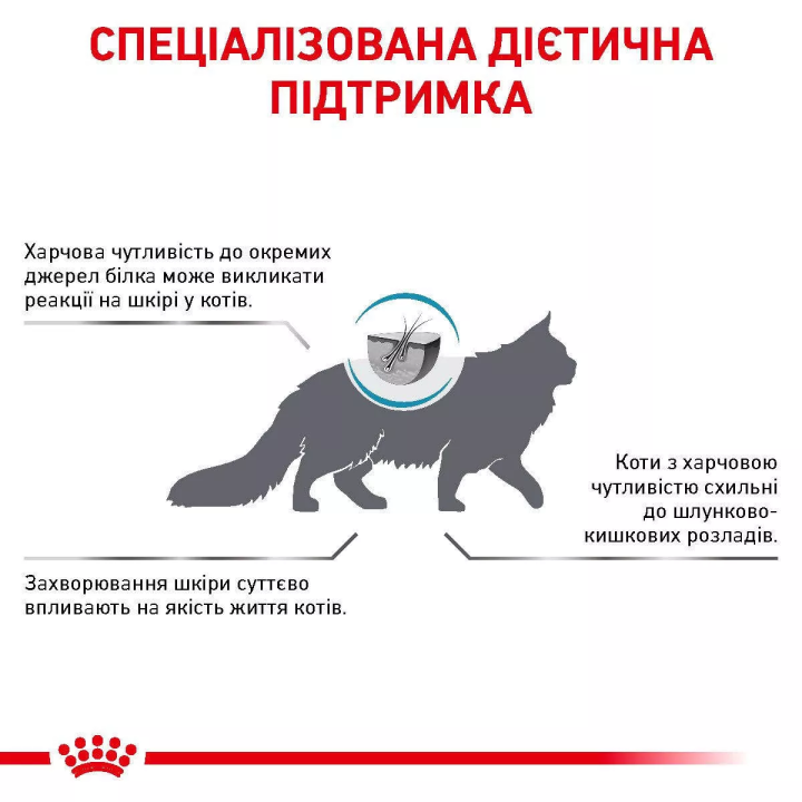 Замовити Skin And Coat Cat 0.4 кг Royal Canin | Знижка до 23% | Відправка з Києва по Україні