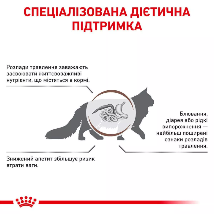 Royal Canin GastroIntestinal Cat 4 кг | Сухий Корм для котів Гастроінтестінал