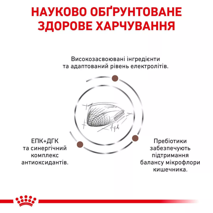 Royal Canin GastroIntestinal Cat 4 кг | Сухий Корм для котів Гастроінтестінал