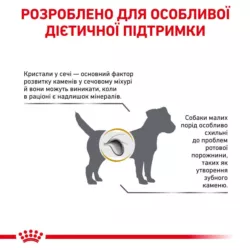 Замовити Urinary S/O Small Dog 1.5 кг Royal Canin | Знижка до 23% | Відправка з Києва по Україні