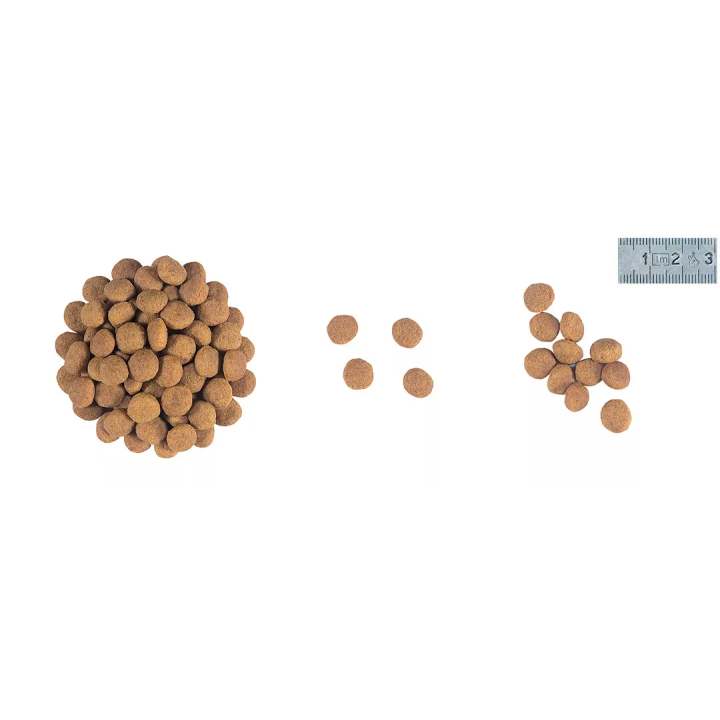 Замовити Mobility Feline 2 кг Royal Canin | Знижка до 23% | Відправка з Києва по Україні