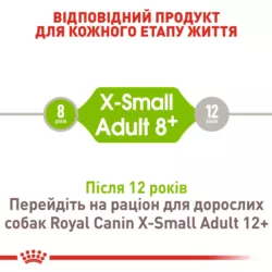 Xsmall Adult 8+ (3 кг) | Royal Canin | Сухий Корм Для Собак Дрібних Порід Віком Від 8 Років