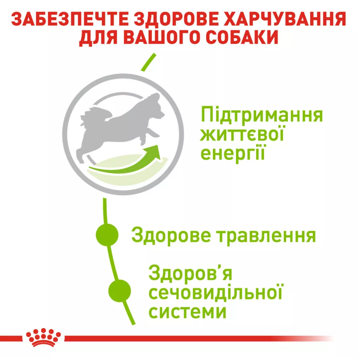 Замовити Xsmall Adult 8+ (3 кг) Royal Canin | Знижка до 23% | Відправка з Києва по Україні