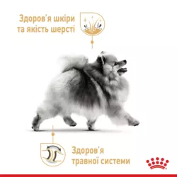 Замовити Pomeranian Adult 0.5 кг Royal Canin | Знижка до 23% | Відправка з Києва по Україні