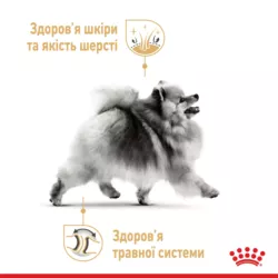 Замовити Pomeranian Adult Loaf 0.085 кг Royal Canin | Знижка до 23% | Відправка з Києва по Україні