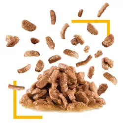 Sensory Taste Chunks In Gravy 0.085 кг | Royal Canin | Вологий Корм Для Кішок