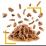 Sensory Taste Chunks In Gravy 0.085 кг | Royal Canin | Вологий Корм Для Кішок