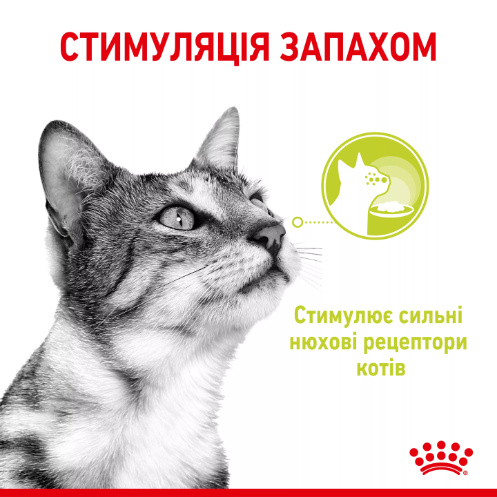 Замовити Sensory Smell Chunks In Gravy 0.085 кг Royal Canin | Знижка до 23% | Відправка з Києва по Україні