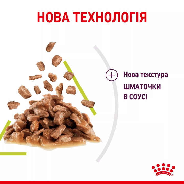 Замовити Sensory Smell Chunks In Gravy 0.085 кг Royal Canin | Знижка до 23% | Відправка з Києва по Україні