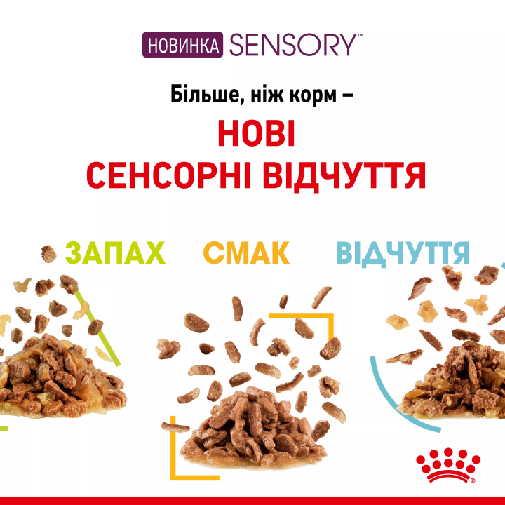 Замовити Sensory Feel Morsels In Gravy 0.085 кг Royal Canin | Знижка до 23% | Відправка з Києва по Україні