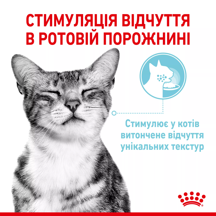 Замовити Sensory Feel Morsels In Gravy 0.085 кг Royal Canin | Знижка до 23% | Відправка з Києва по Україні