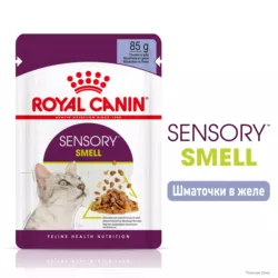 Замовити Sensory Smell Chunks In Jelly 0.085 кг Royal Canin | Знижка до 23% | Відправка з Києва по Україні