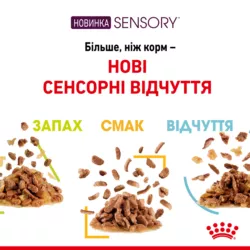 Замовити Sensory Smell Chunks In Jelly 0.085 кг Royal Canin | Знижка до 23% | Відправка з Києва по Україні