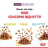 Замовити Sensory Smell Chunks In Jelly 0.085 кг Royal Canin | Знижка до 23% | Відправка з Києва по Україні