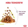 Замовити Sensory Smell Chunks In Jelly 0.085 кг Royal Canin | Знижка до 23% | Відправка з Києва по Україні