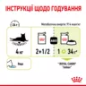 Замовити Sensory Smell Chunks In Jelly 0.085 кг Royal Canin | Знижка до 23% | Відправка з Києва по Україні