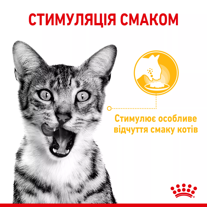 Замовити Sensory Taste Chunks In Jelly 0.085 кг Royal Canin | Знижка до 23% | Відправка з Києва по Україні