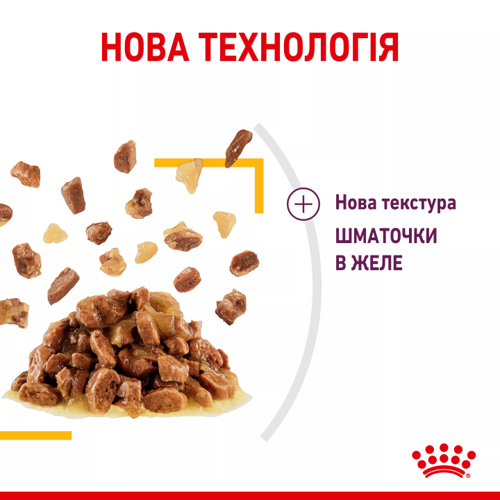 Замовити Sensory Taste Chunks In Jelly 0.085 кг Royal Canin | Знижка до 23% | Відправка з Києва по Україні