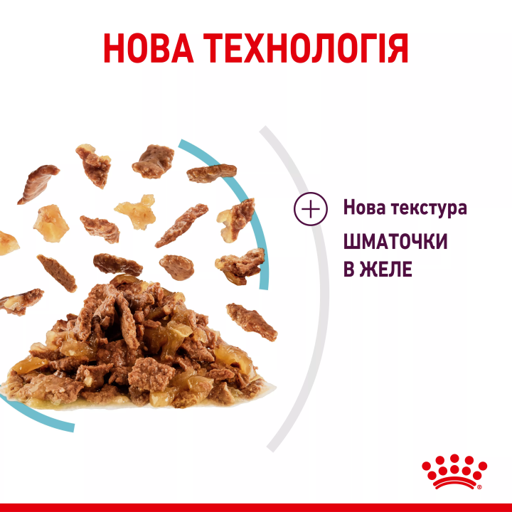 Замовити Sensory Feel Morsels In Jelly 0.085 кг Royal Canin | Знижка до 23% | Відправка з Києва по Україні