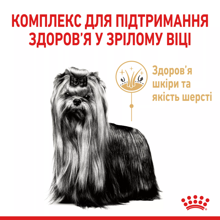Замовити Yorkshire Terrier 8+ (1.5 кг) Royal Canin | Знижка до 23% | Відправка з Києва по Україні
