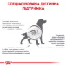 Low Fat - Royal Canin Gastro Intestinal для собак – купити Роял Канін Лоу Фет