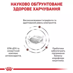 Low Fat - Royal Canin Gastro Intestinal для собак – купити Роял Канін Лоу Фет