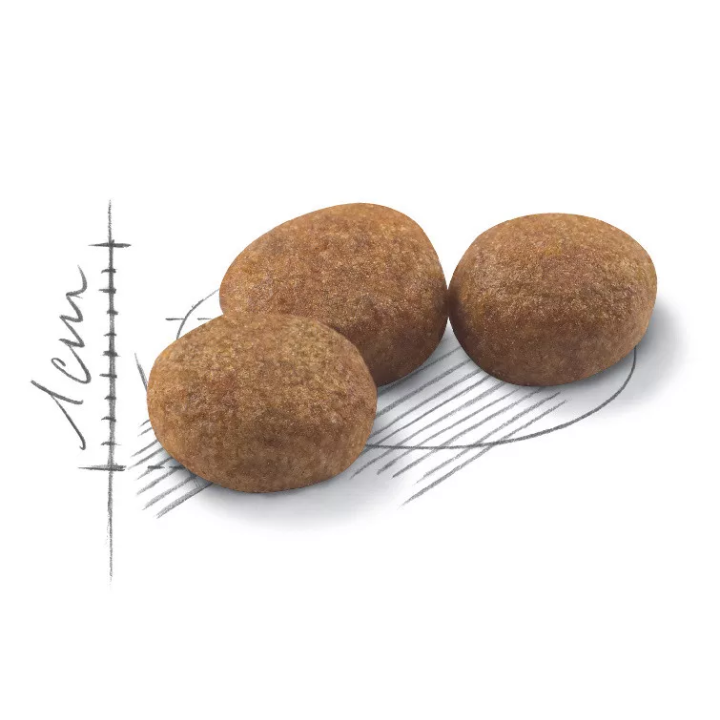 зображення крокет Корму для стерилізованих котів ROYAL CANIN STERILISED