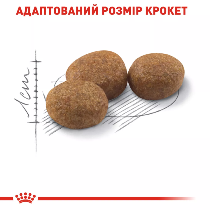 зображення крокет Корму для стерилізованих котів ROYAL CANIN STERILISED