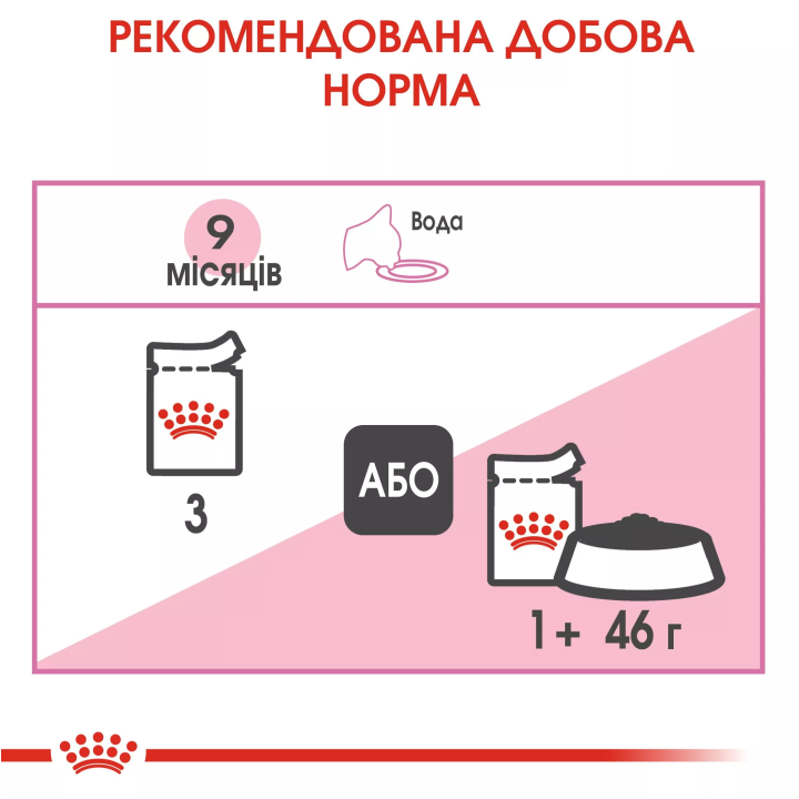 Замовити Kitten Sterilised 0.085 кг Royal Canin | Знижка до 23% | Відправка з Києва по Україні