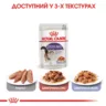 Замовити Sterilised Jelly 0.085 кг Royal Canin | Знижка до 23% | Відправка з Києва по Україні